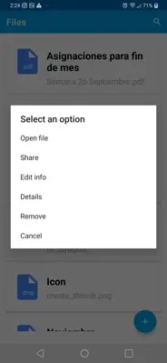 File Organizer android App screenshot 3